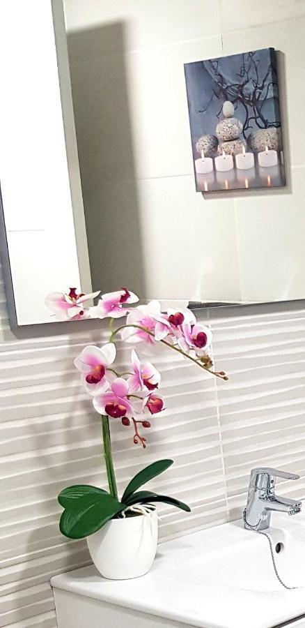 Loft Apartamento Sevilla 16 阿利坎特 外观 照片